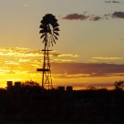 Sunset alone